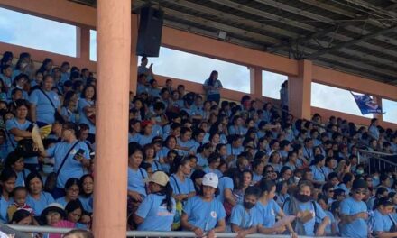 DOH recognizes Iloilo BHWs’ role during COVID-19 pandemic, immunization