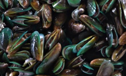 6-year-old boy dies, 31 sick due to suspected red tide poisoning in Capiz