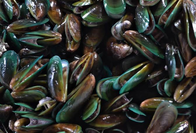 6-year-old boy dies, 31 sick due to suspected red tide poisoning in Capiz