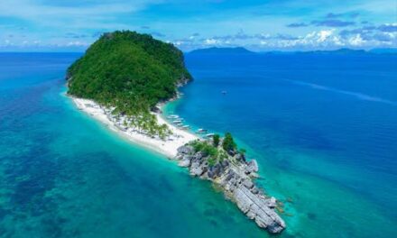 Red tide detected in Iloilo, Capiz, Aklan