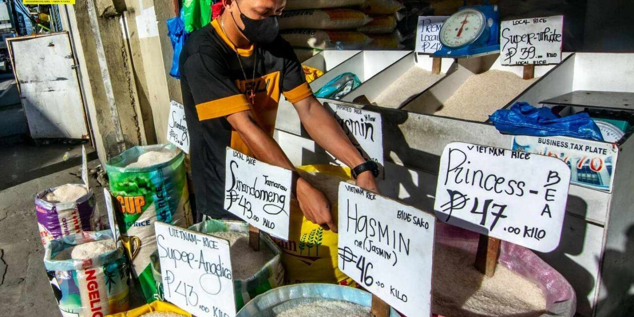 Reduced rice prices necessary to achieve inflation target – economist