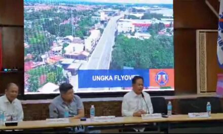 ‘It’s safe for use’: DPWH to reopen Ungka Flyover to light vehicles