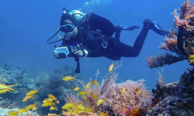 Antique, Misamis Oriental, N. Mindanao eyed as go-to dive sites