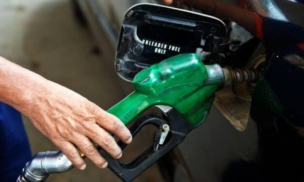 Diokno: Suspending VAT, excise tax on petroleum to hurt economy