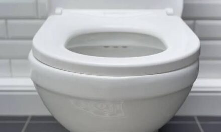 92 villages in Iloilo City achieve zero open defecation status