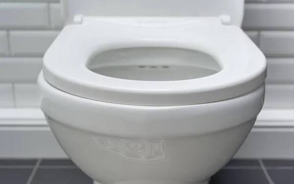 92 villages in Iloilo City achieve zero open defecation status