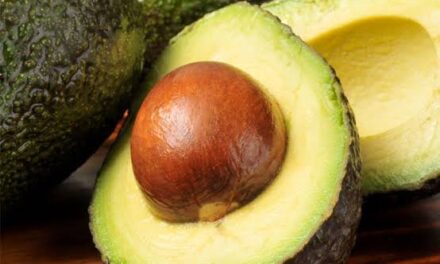 Export of PH avocados to South Korea starts Sept. 30: DA exec