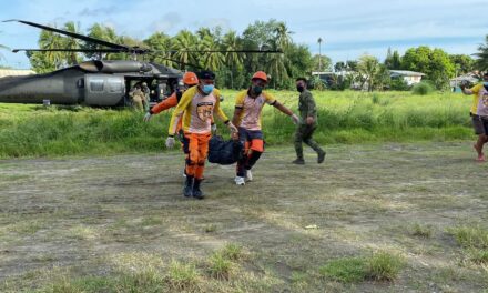 3 NPA rebels killed in clash with soldiers in Leon, Iloilo