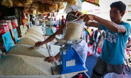 Local rice prices may drop to P36 per kilo this October: DA