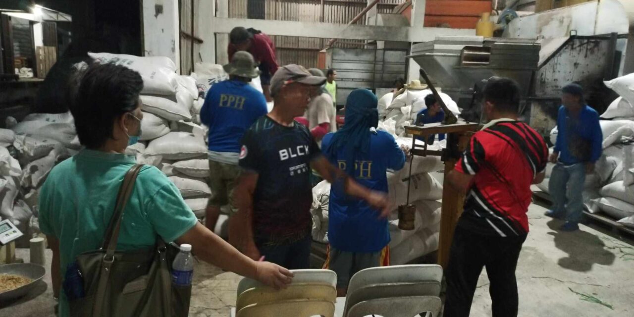 Farmers urged to sell palay in local NFA warehouses
